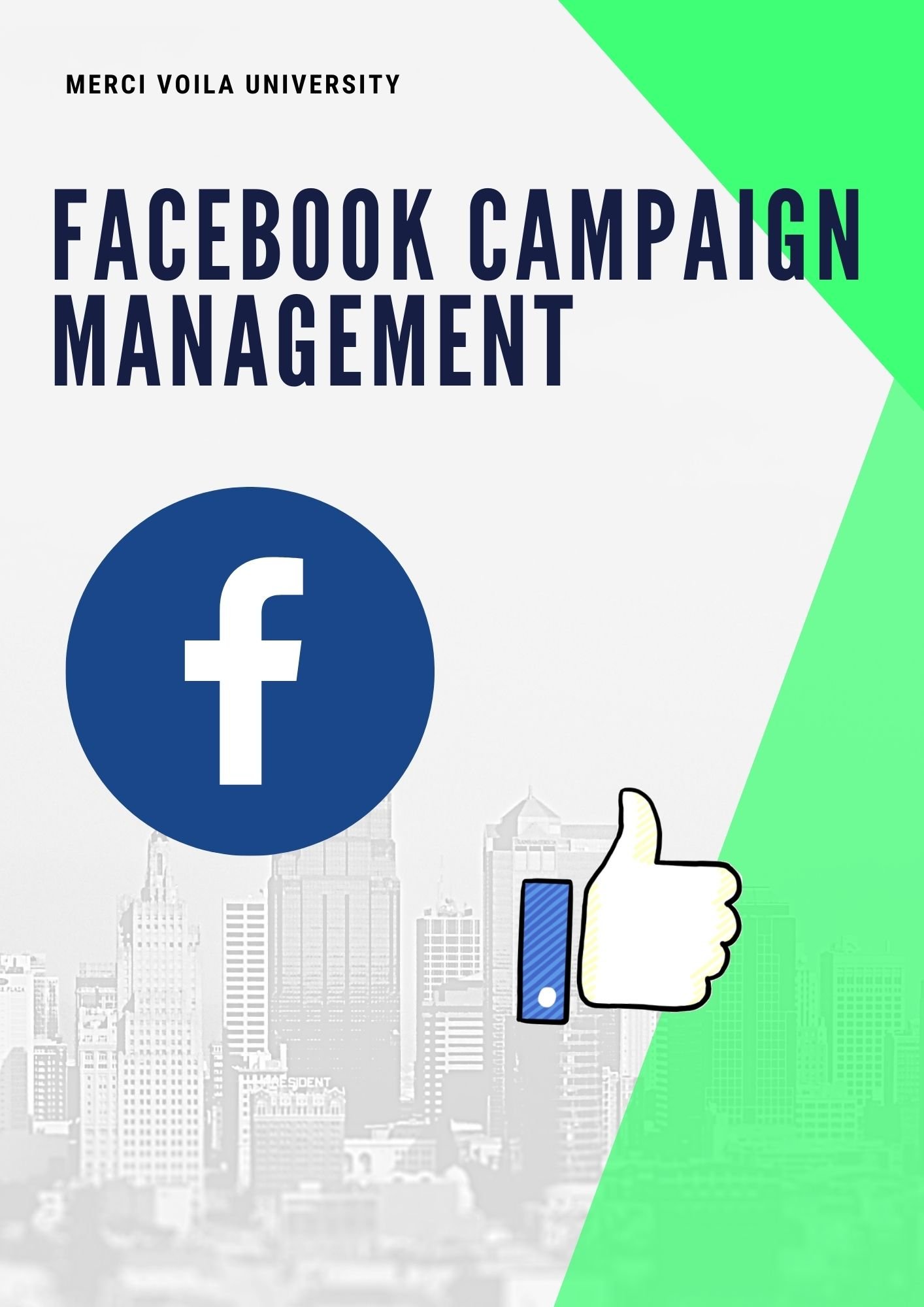 Facebook Campaing Management