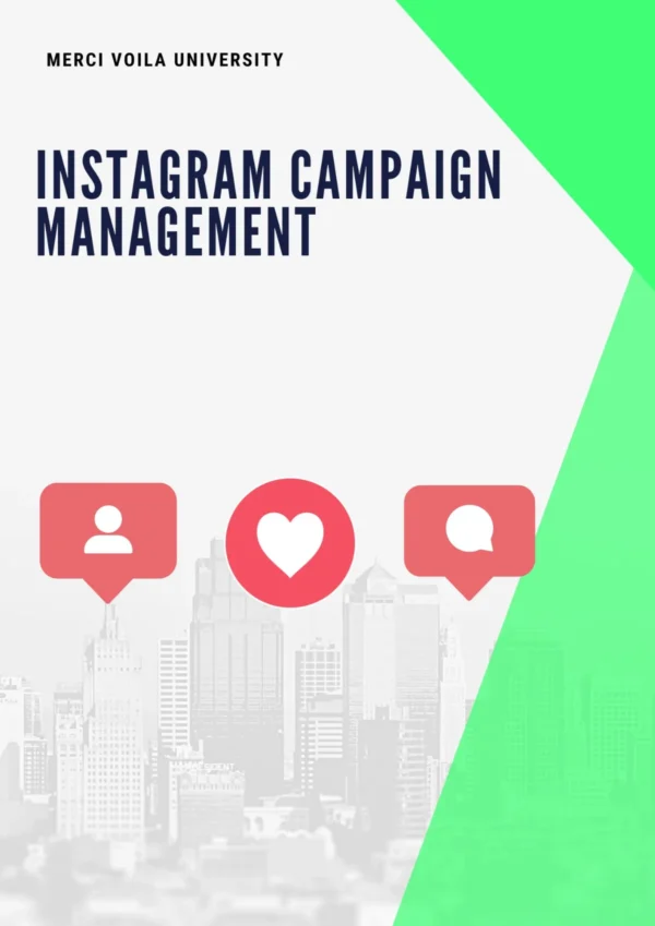 Instagram Campaing Management